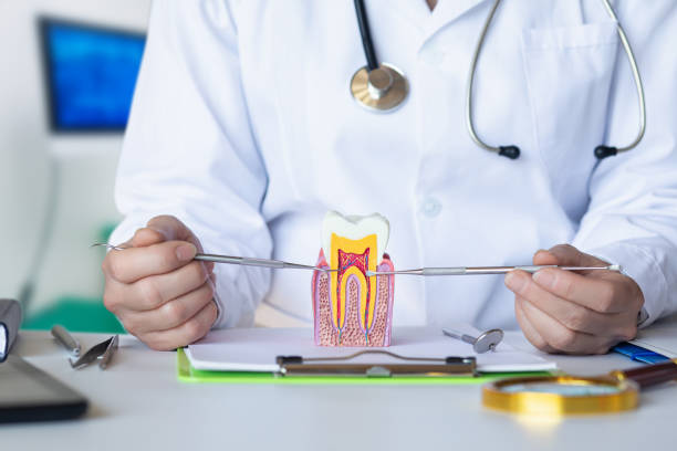 Best Emergency Dental Services for Seniors in Horizon City, TX